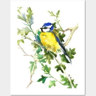 Blue Tit and Oak Tree Posters and Art